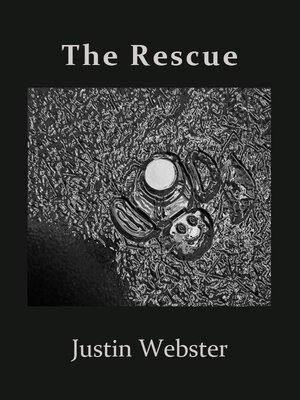 cover image of The Rescue